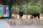 Monastery of Anafonitria - Zakynthos island photo 5