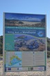 Marathonisi (Turtle Island) - Zakynthos island photo 21
