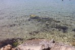 Alykes (Alikes) Beach - Zakynthos island photo 7