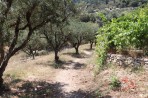 Marathia Beach - Zakynthos island photo 1