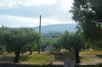 Nature on the island of Zakynthos photo 13