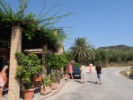 Callinico Winery - Zakynthos island photo 9