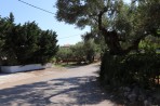 Kampi (Kambi) - Zakynthos island photo 5